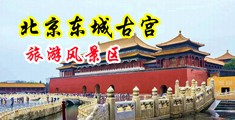 白虎颜射中国北京-东城古宫旅游风景区